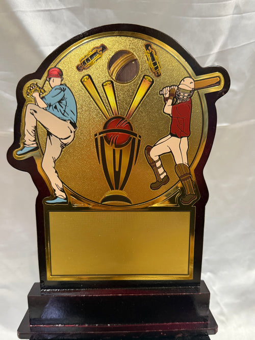 CRICKET MEMENTO