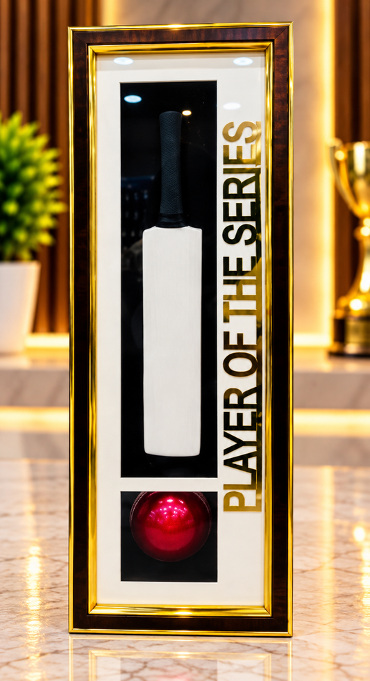 PLAYER OF THE SERIES {FRAME}